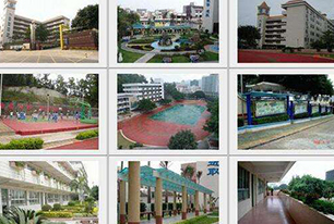 平安校園綜合視頻監(jiān)控方案(網絡)